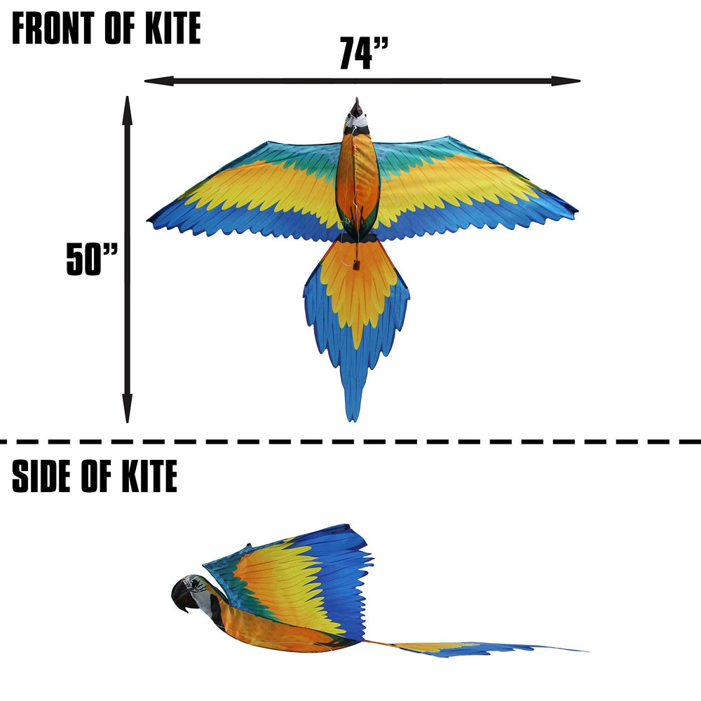 WindNSun 3D blue macaw kite frame emphasizes durability with fiberglass construction.