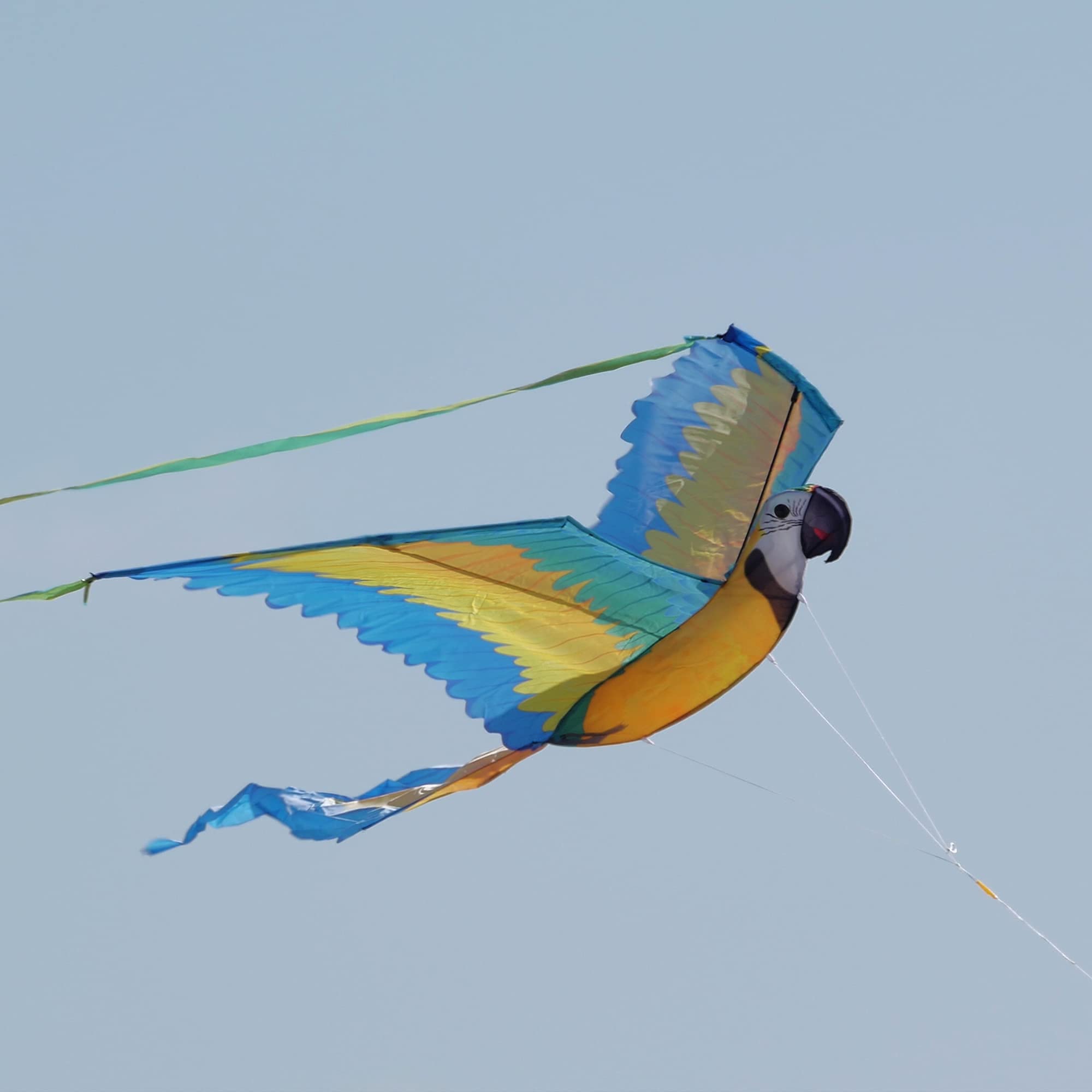 WindNSun large handle aids comfortable ground setup for new flyers.