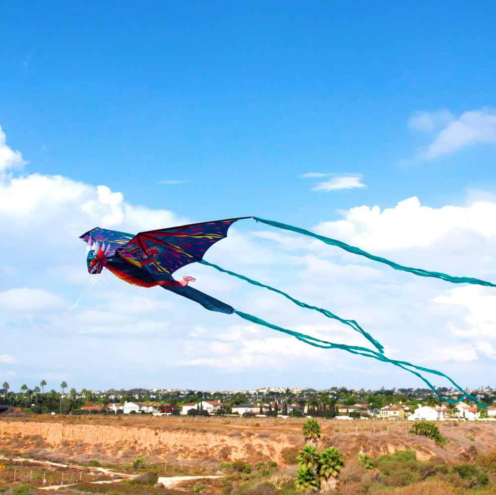 WindNSun family-friendly kite encourages shared playtime and outdoor adventures.