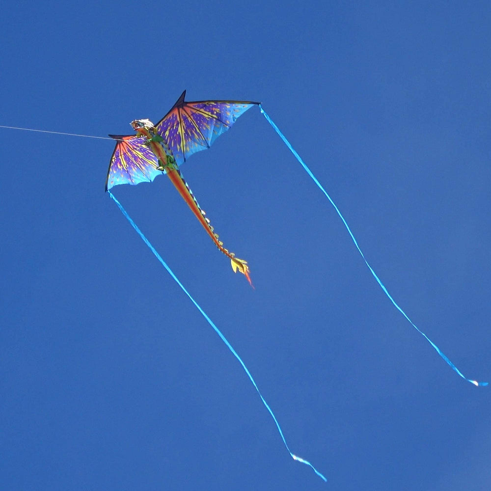 WindNSun family-friendly kite appealing to kids and adults for shared outdoor moments.