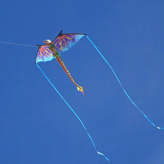 WindNSun family-friendly kite appealing to kids and adults for shared outdoor moments.