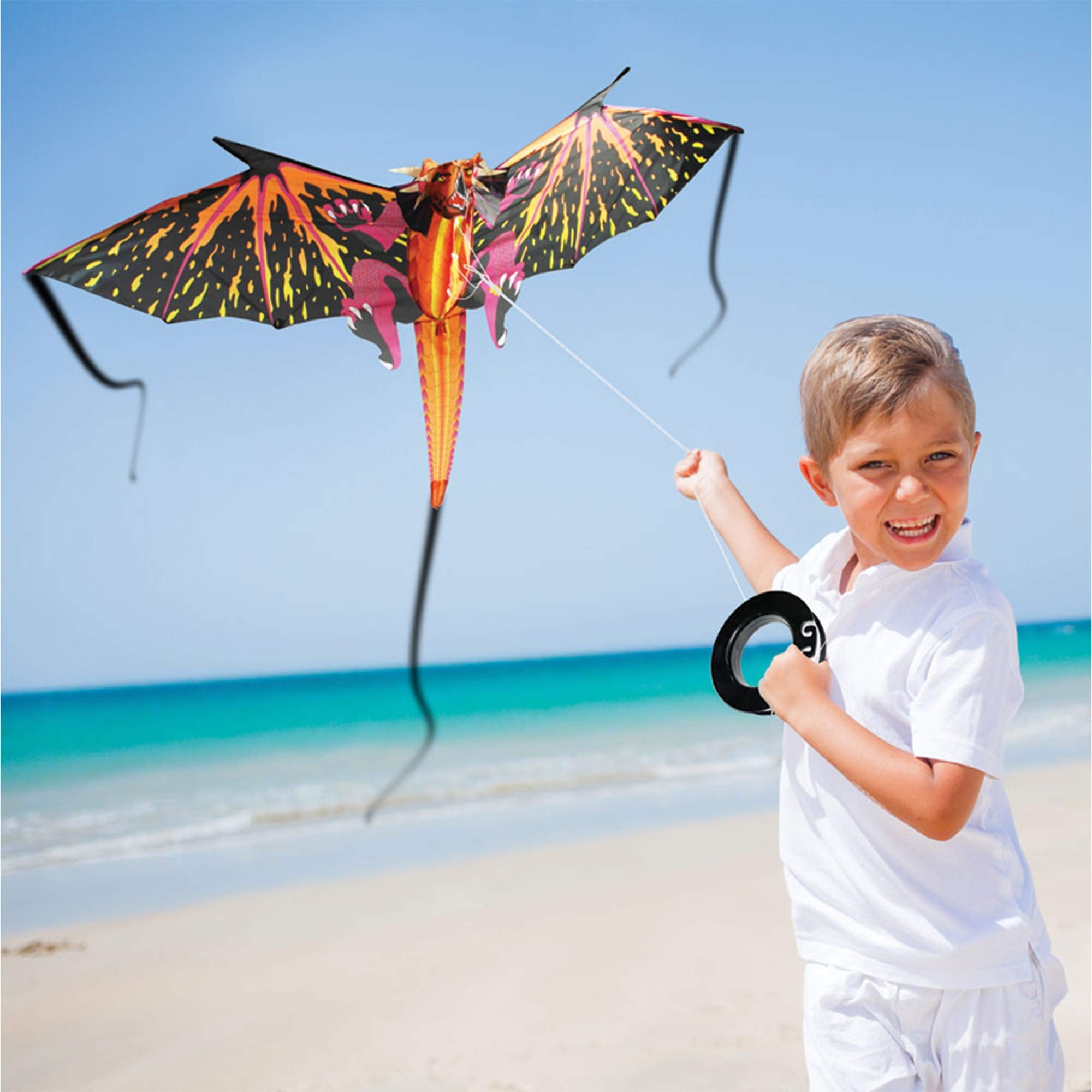 WindNSun family kite flying in a park showing inclusive outdoor fun.