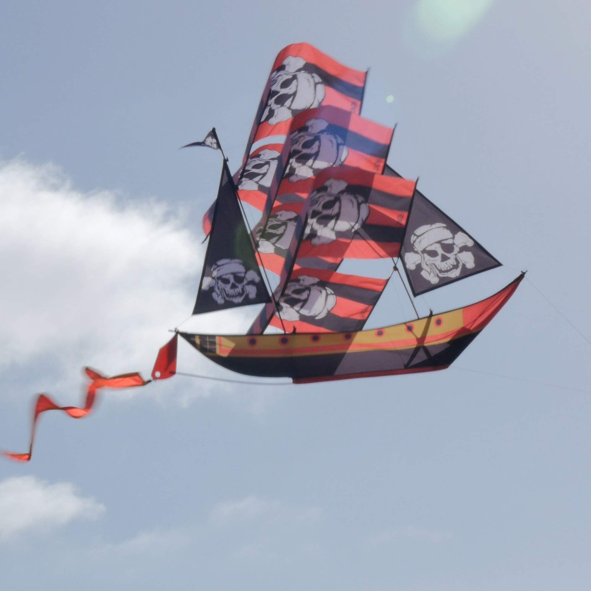 WindNSun kite assembly ease showing quick setup for outdoor flying