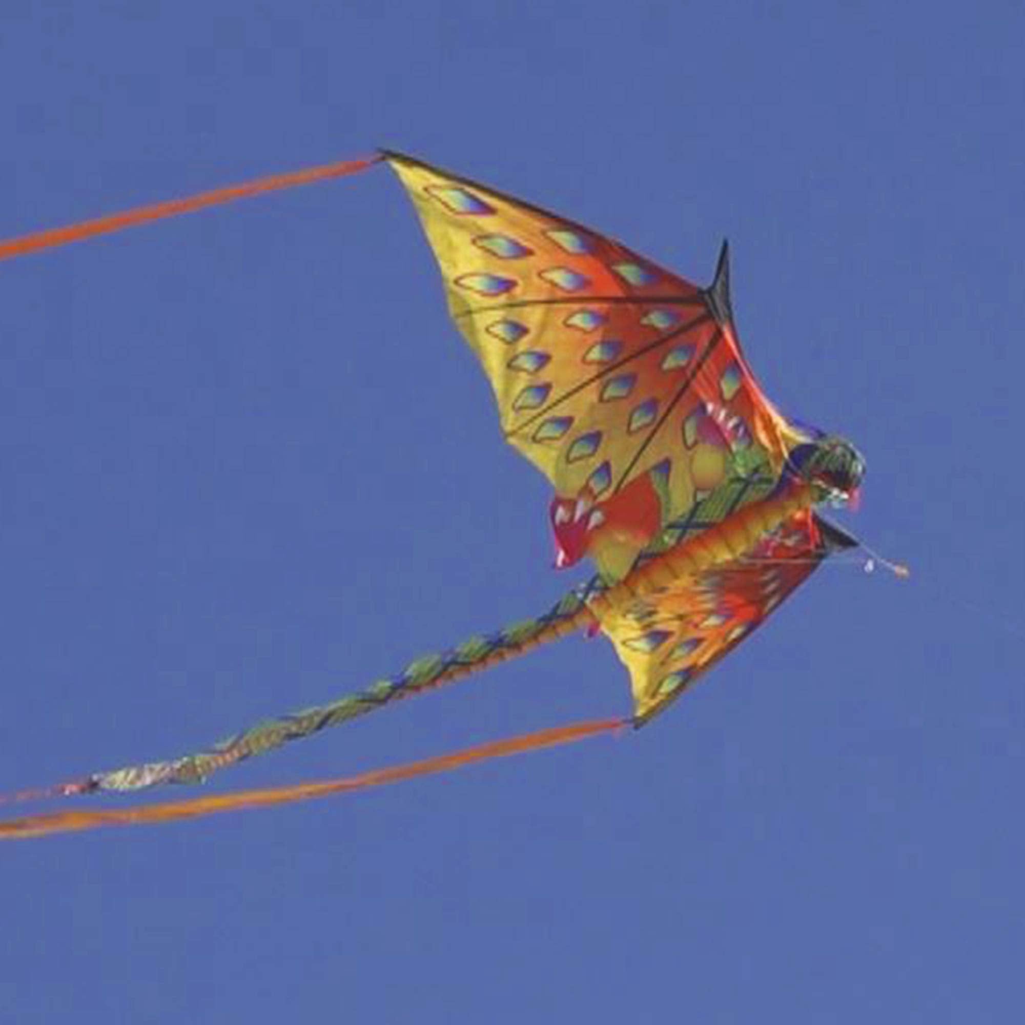 WindNSun kite setup on a sunny beach scene demonstrates quick assembly.