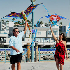 WindNSun 3D Dragon kite features ready-to-fly setup for quick park fun.