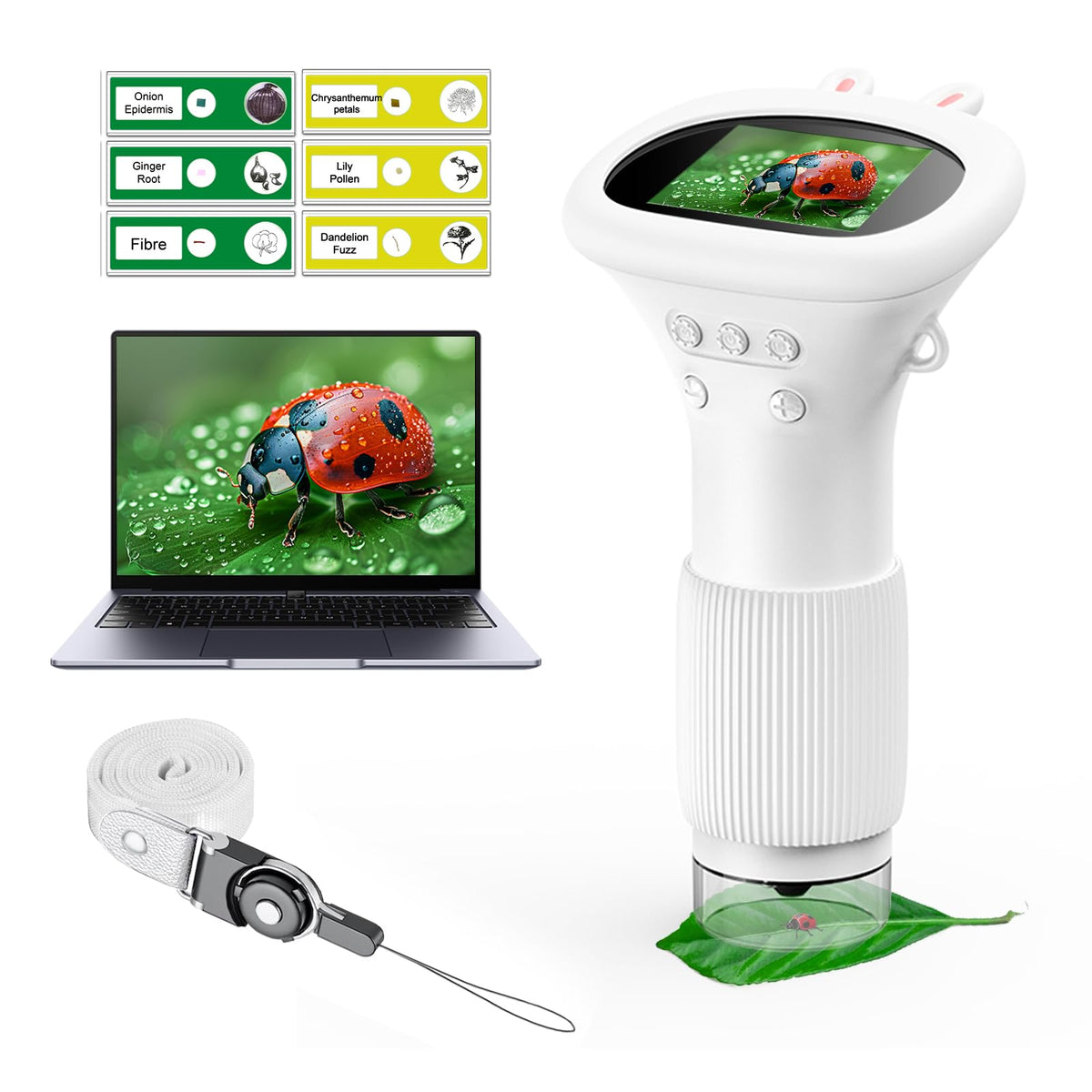 WINWEND Kids Microscope handheld view for portable on-the-go science exploration
