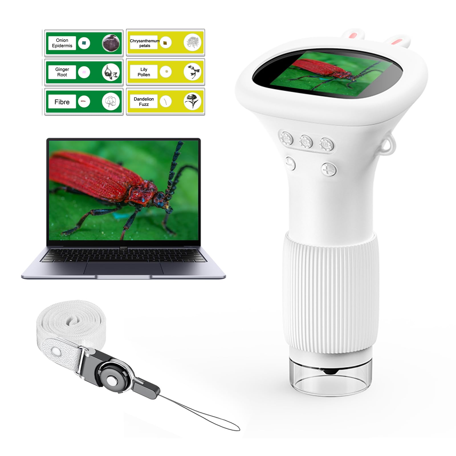 WINWEND wrist band helps carry the kids microscope during outings