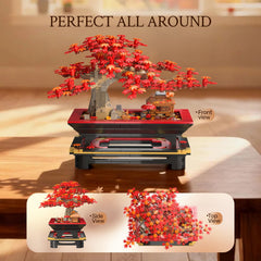Wise Block gifting-ready packaging enhances a thoughtful adult-friendly present.