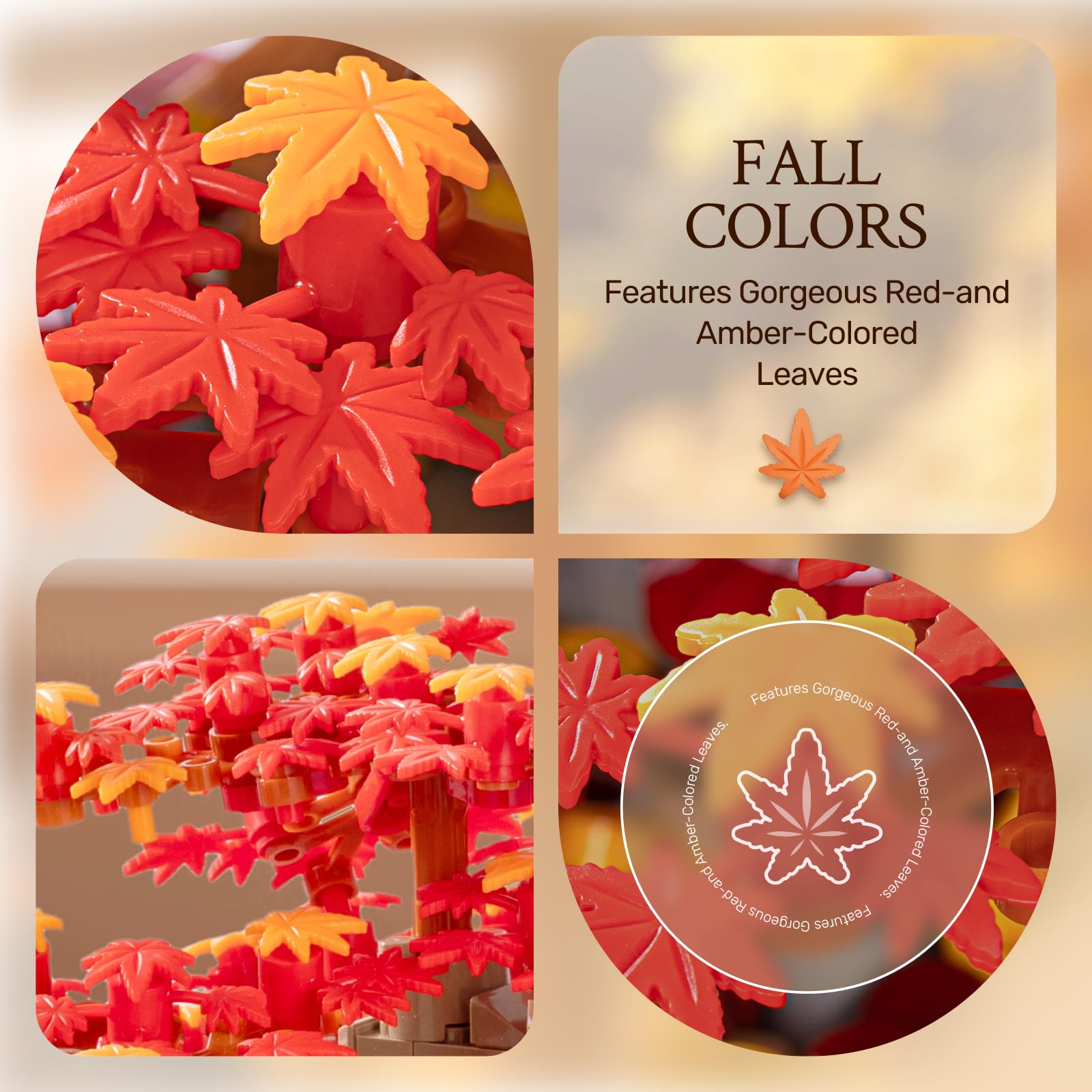 Wise Block Japanese Red Maple Bonsai Kit pieces ready to form a refined home display.