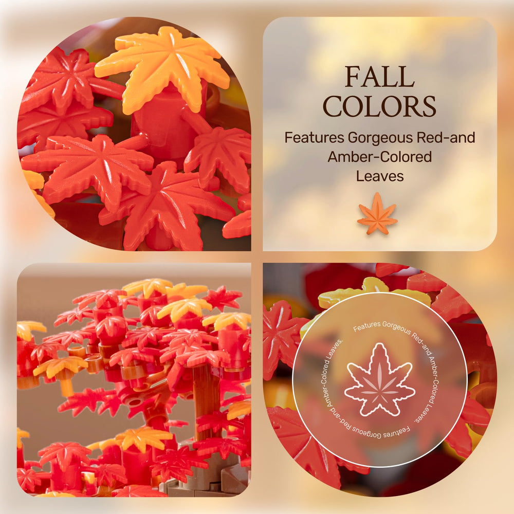Wise Block Japanese Red Maple Bonsai Kit pieces ready to form a refined home display.