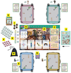 Wise Wizard Games Wacky Wizard Pack Essentials tabletop play area for compact setup.