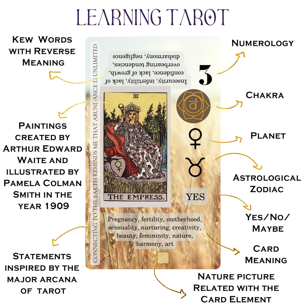 Witchy Cauldron guidebook inside—clear learning aid to deepen your tarot study.