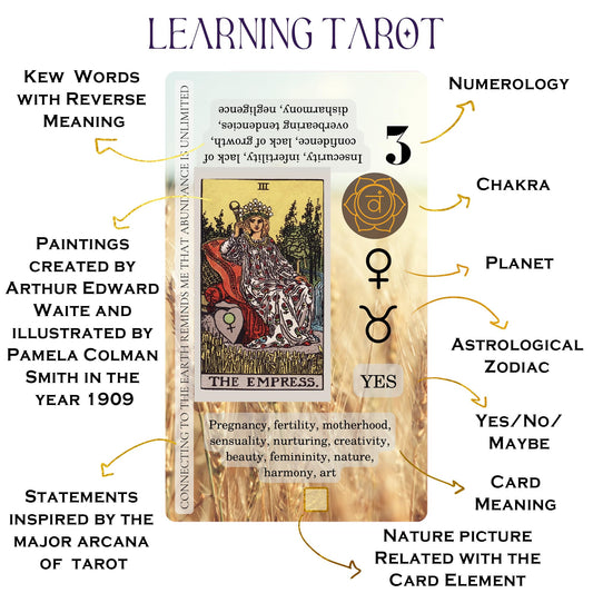 Witchy Cauldron guidebook inside—clear learning aid to deepen your tarot study.