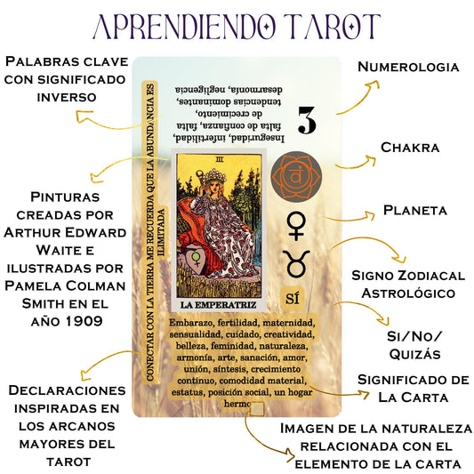Witchy Cauldron Spanish tarot cards layout showing beginner-friendly design