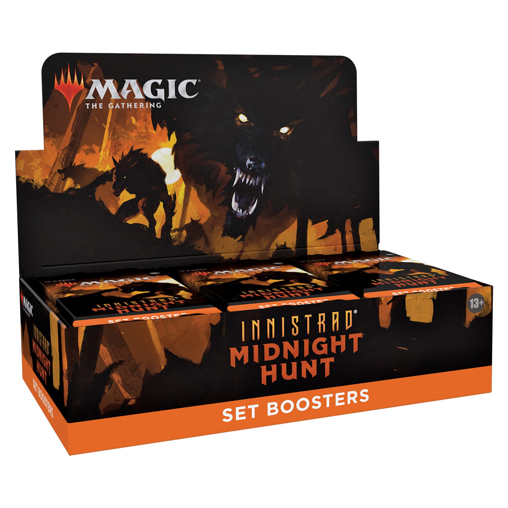 Wizards of the Coast Eternal Night basic land adds dramatic visuals to any set collection.