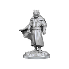 WizKids Critical Role tiger demon miniature ideal for dungeon scene setups