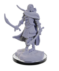 WizKids Nolzur's Human Ranger in a display-ready pose.
