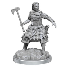 WizKids Nolzur's Human Fighter detailed armor for immersive roleplay sessions.