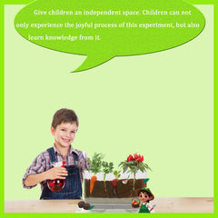 WKLOUYHE Root Viewer Kit garden setup promotes outdoor learning adventures.