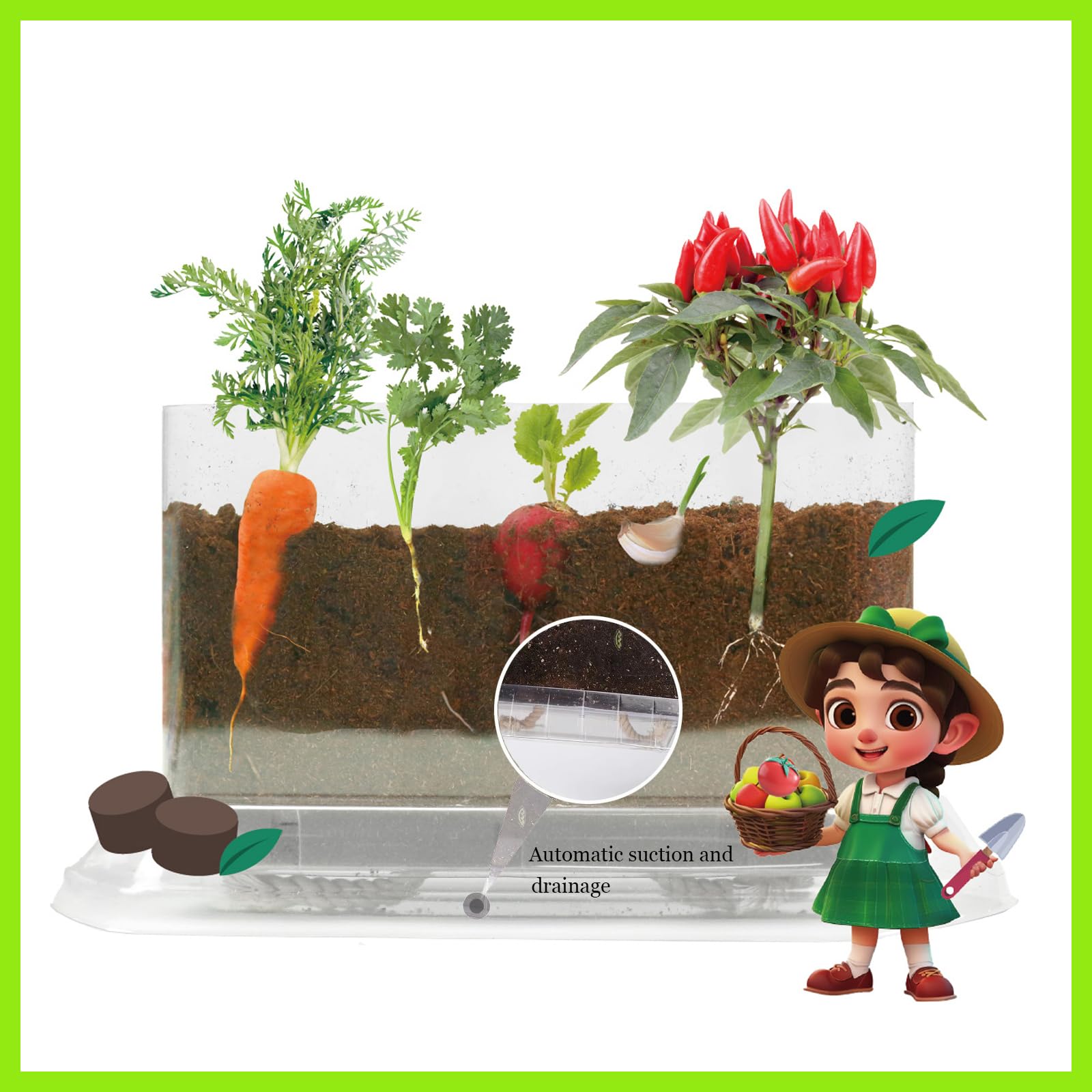 WKLOUYHE Root Viewer Kit guidebook insights explain concepts in kid-friendly terms.