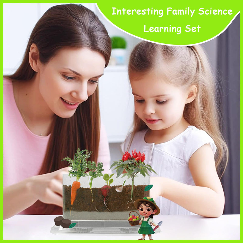 WKLOUYHE Root Viewer Kit sticker activity adds creativity to science play.