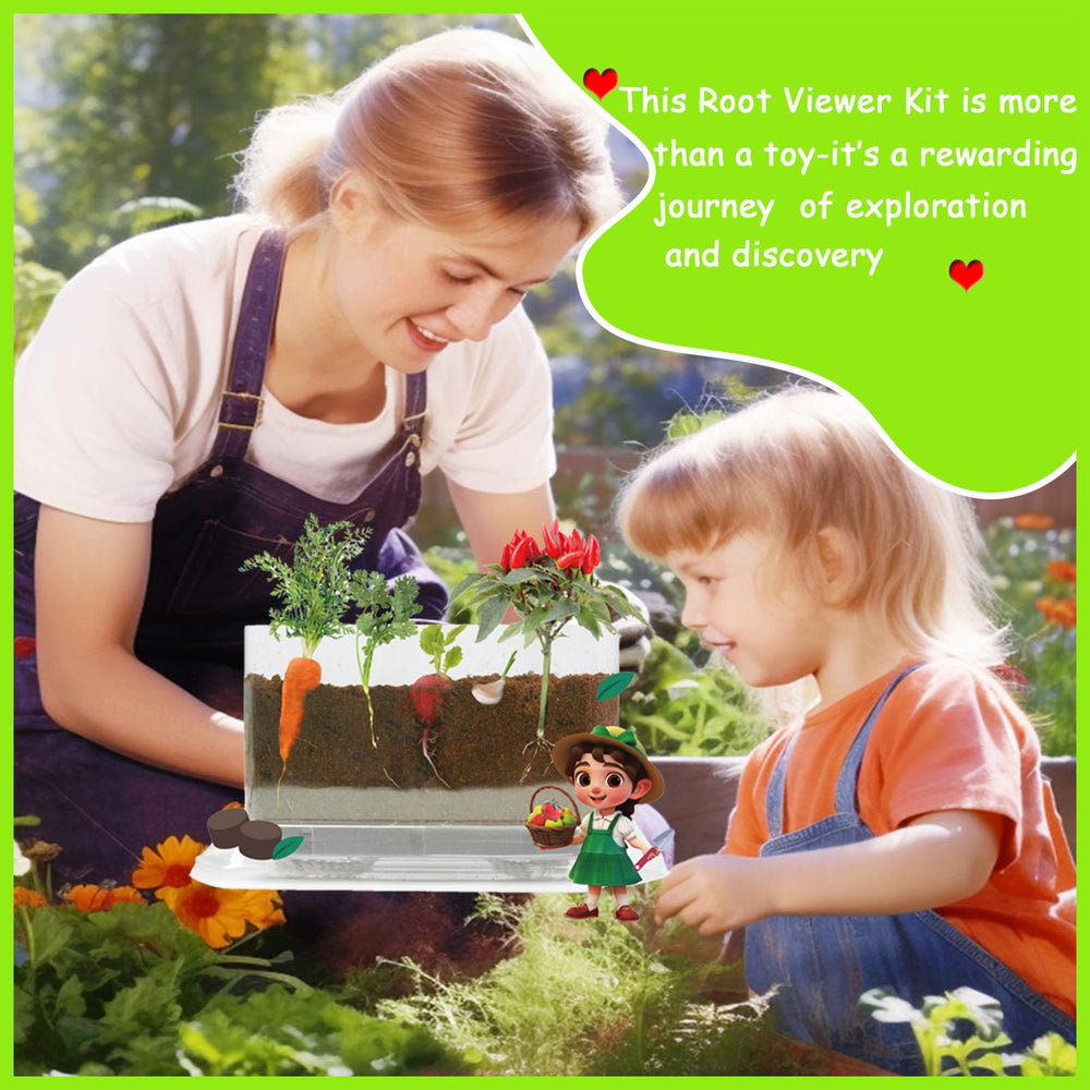 WKLOUYHE Root Viewer Kit transparent observation window supports hands-on exploration.