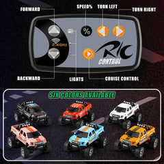 WOHEIHEI Power Monster Truck with trailer, ready to race