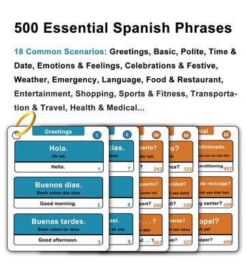 Woifish flash cards spread displaying 500 phrases for daily conversations.