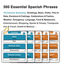 Woifish flash cards spread displaying 500 phrases for daily conversations.