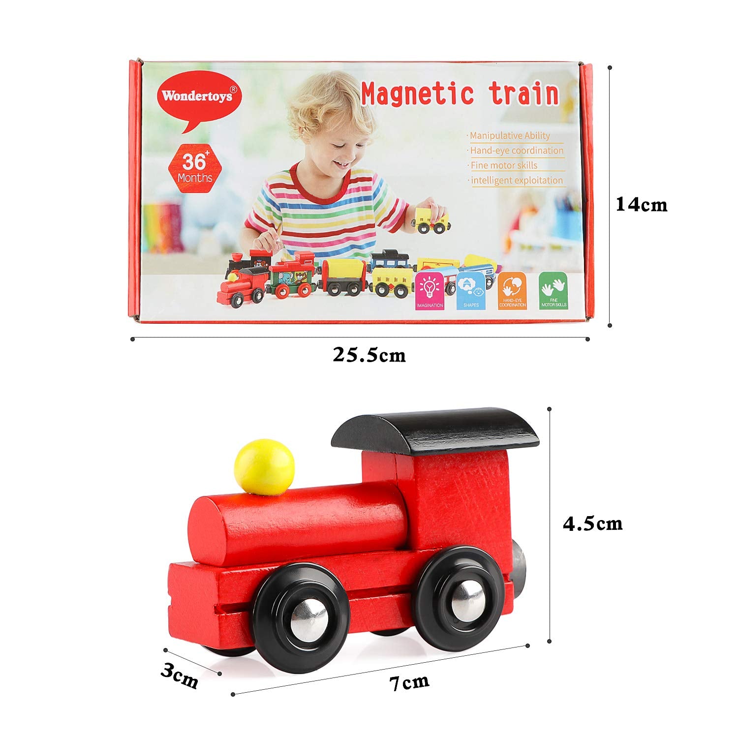 Wondertoys rounded edges and non-toxic paints ensure safe toddler play