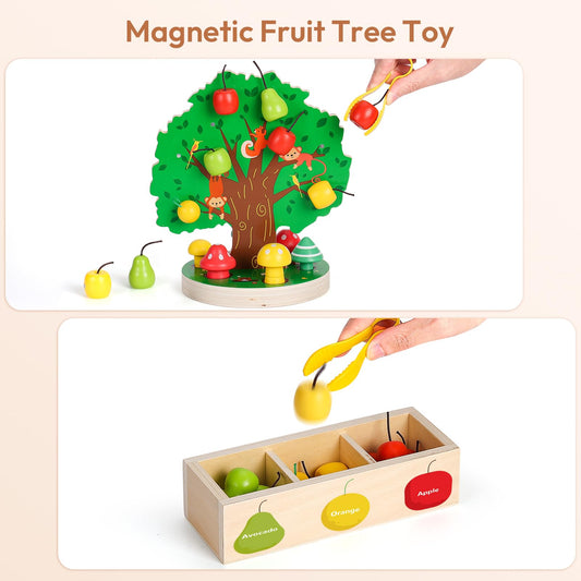 Woodtoe Fruit Magnets Collection: colorful pieces for color recognition and sorting games