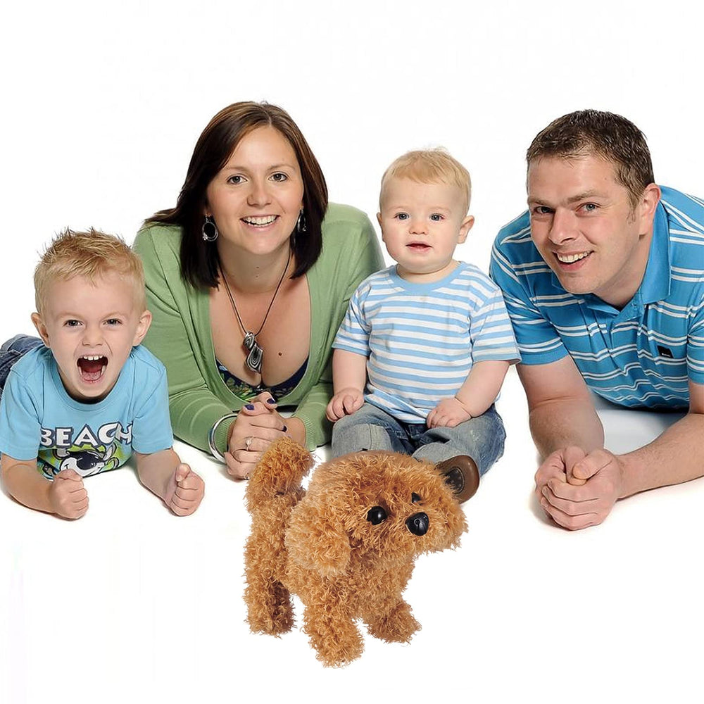 WorWoder Plush Teddy Dog gift idea highlighting safe, kid-friendly design.