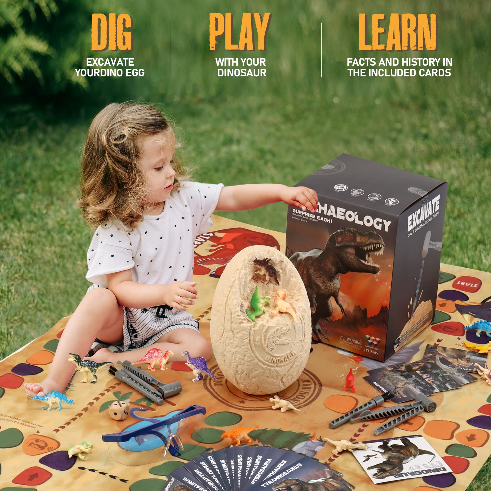 Six digging tools enable safe, hands-on fossil excavations and discovery.