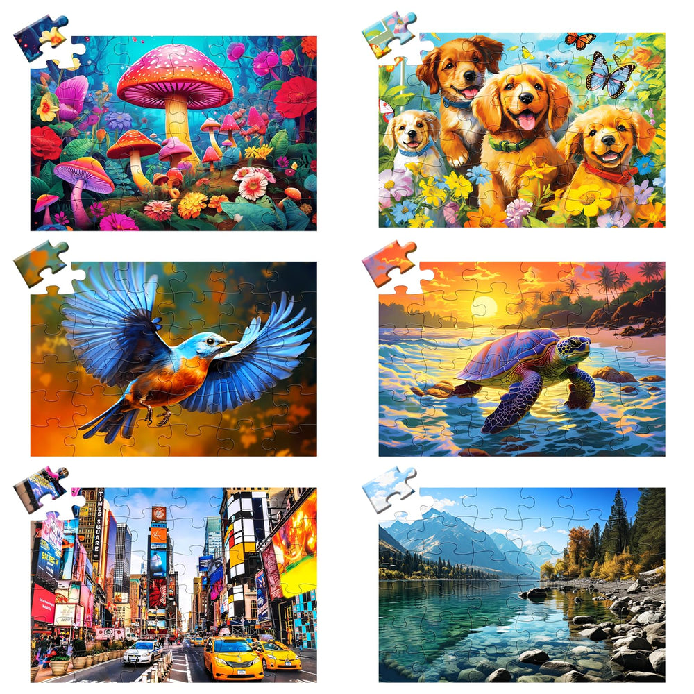 WSCXSC 6-pack senior puzzles featuring hummingbirds for focus and tactile engagement
