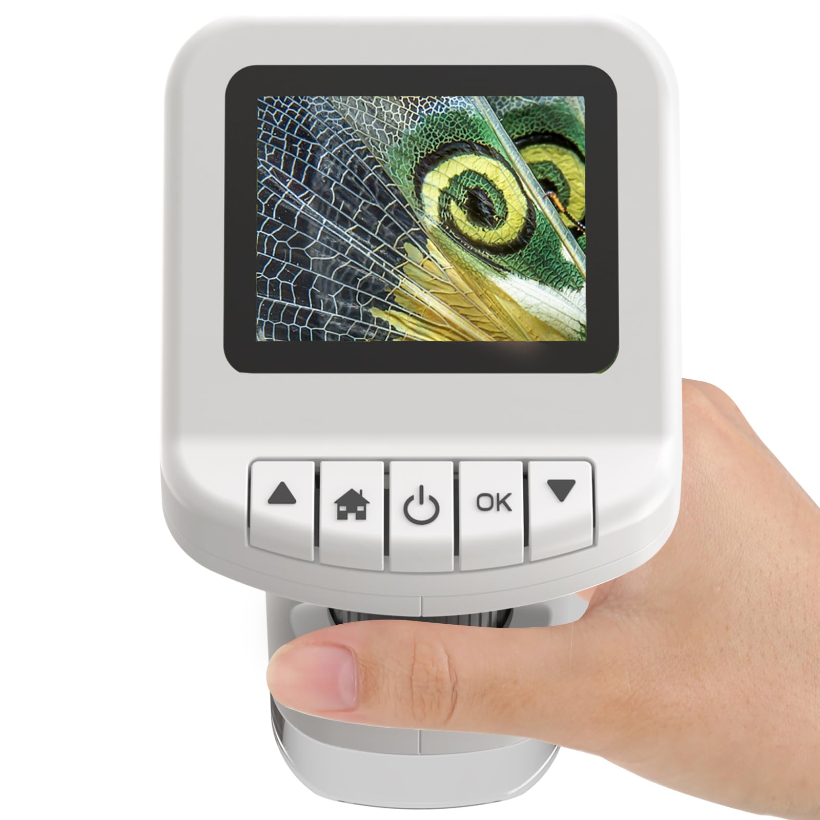 WSDMIC 1200X handheld microscope display offers easy viewing for young scientists.