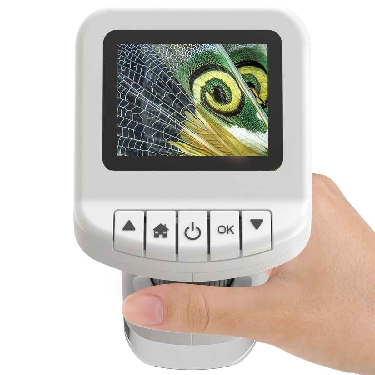 WSDMIC 1200X handheld microscope display offers easy viewing for young scientists.