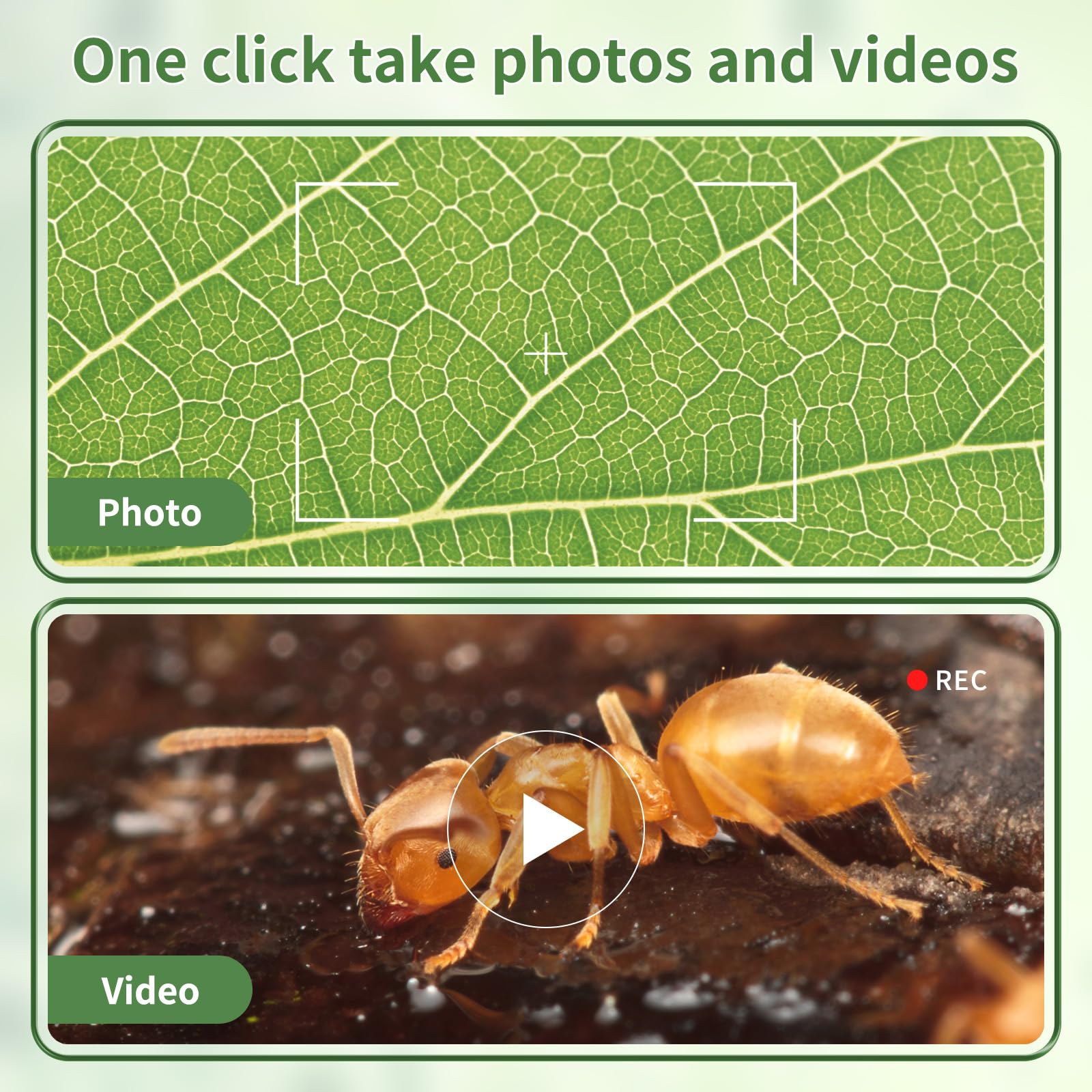 WSDMIC 1200X is ideal for outdoor learning and field trips.