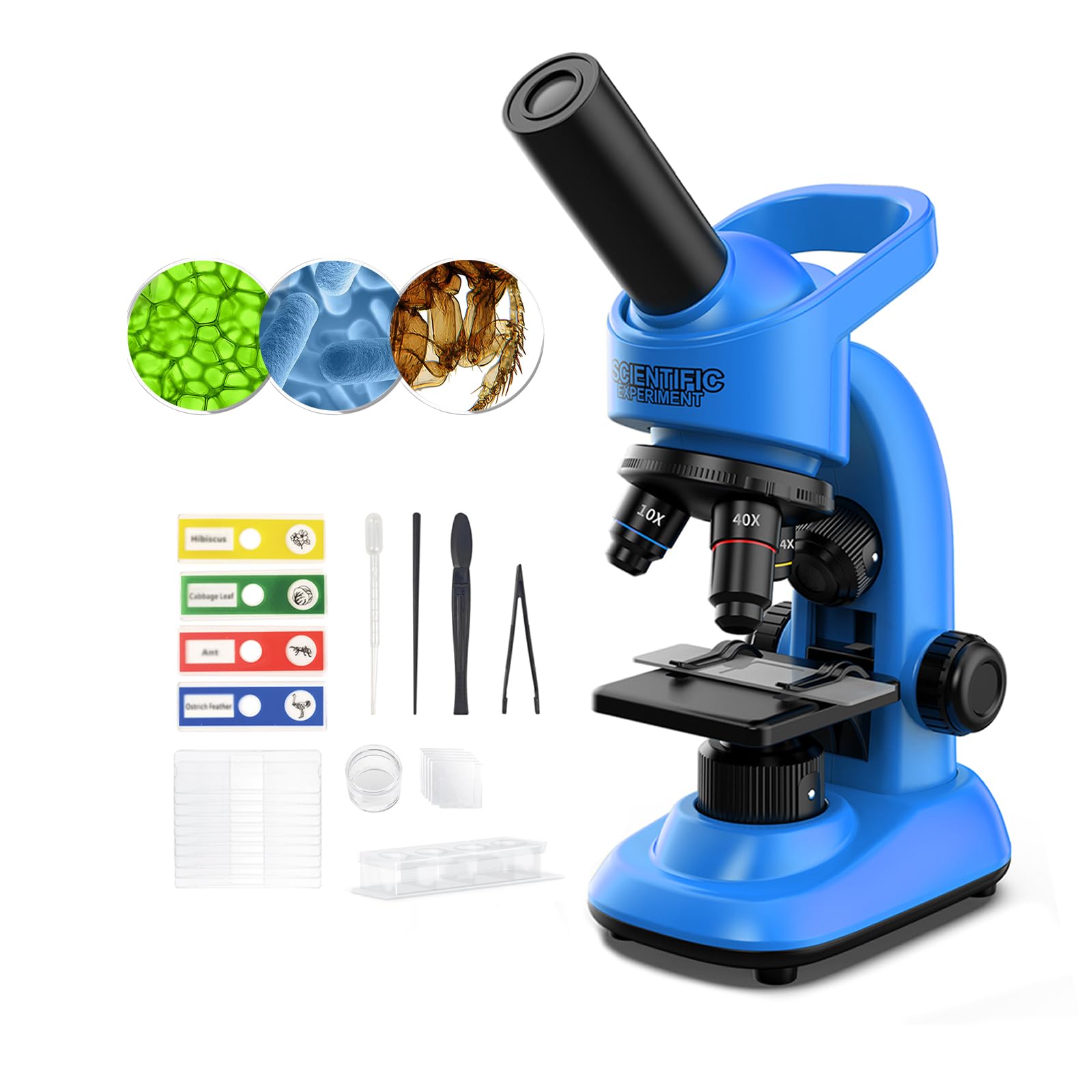 WSDMIC kid microscope eyepiece view enables sharp close-ups.