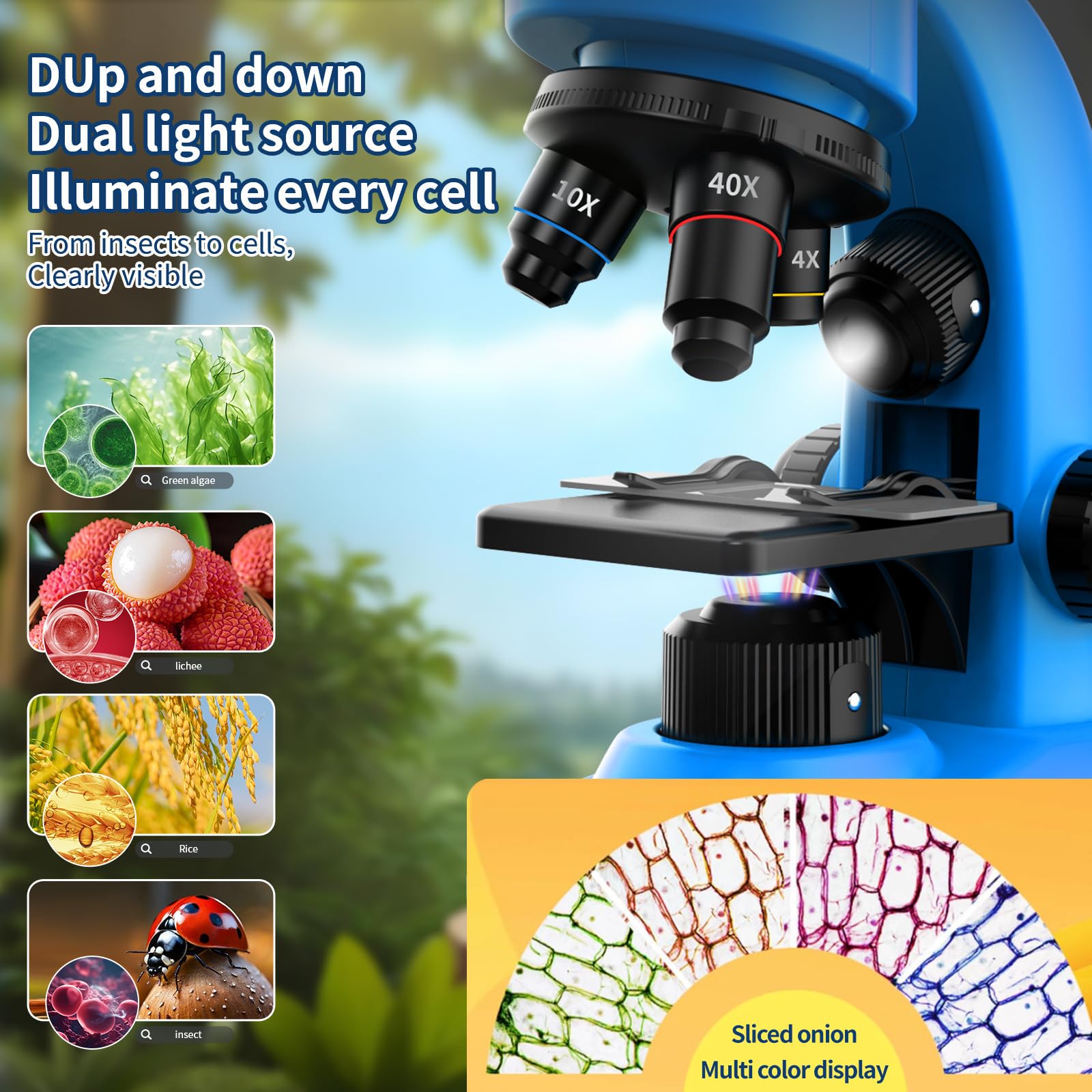 WSDMIC dual LED illumination enables clear contrast on opaque and transparent specimens.