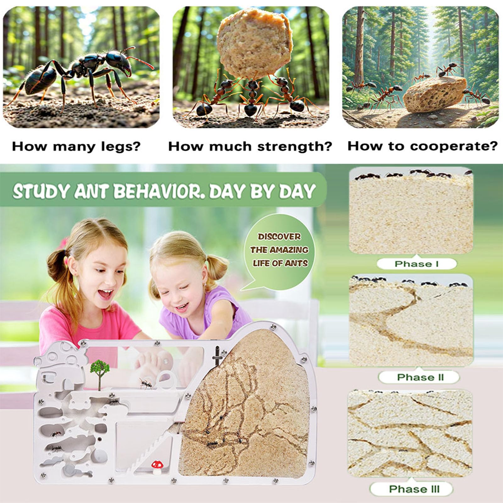 Wtsyant Ant Farm Castle digging zone showcases tunnel activity