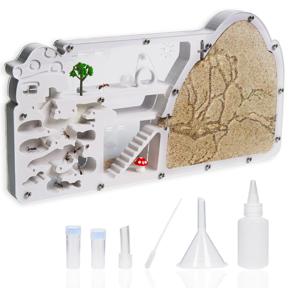 Wtsyant Ant Farm Castle viewing area for clear colony observation and learning