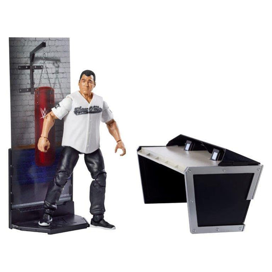 WWE Elite Collection Shane McMahon figure with deluxe articulation for dynamic posing.