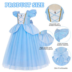 WYB blue princess dress embroidery and lace accents for elegant costume.