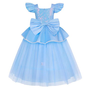 WYB blue princess dress skirt detail highlighting tulle layers and embroidery.