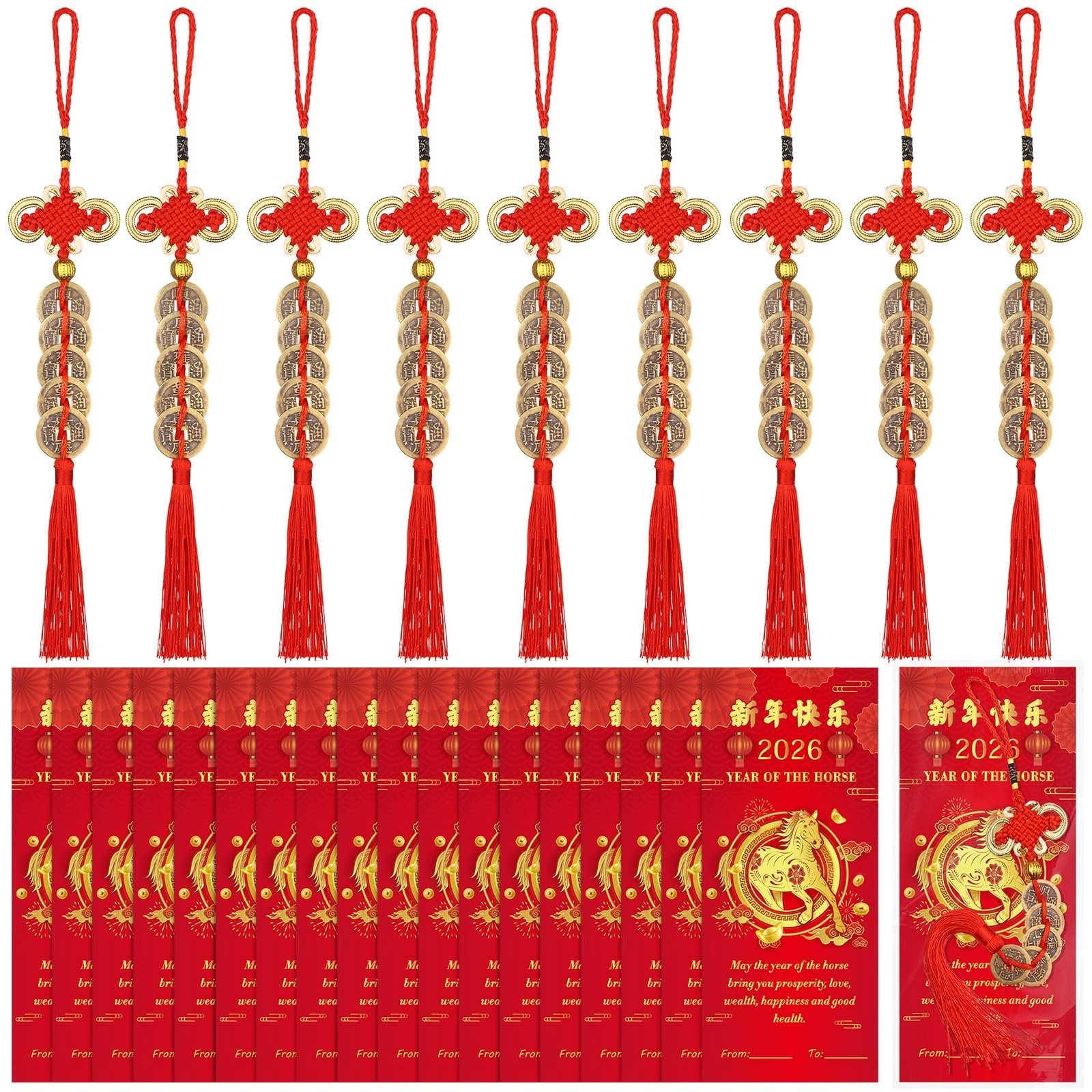 WZSTNBLA lucky coin pendant with Chinese knot for festive blessings