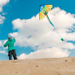 Xida Dragon Kite great for beach or park family fun