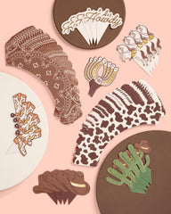 xo Fetti cactus topper sparks western decor
