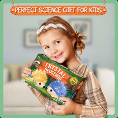 XX Crystal Growing Kit hedgehog orange crystals spark curiosity through vibrant growth