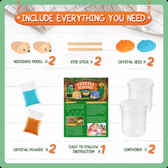 XX Crystal Growing Kit plastic containers provide clear viewing of crystal growth