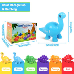 Colorful dinosaur pieces for sorting by color, shape, and number during hands-on learning.